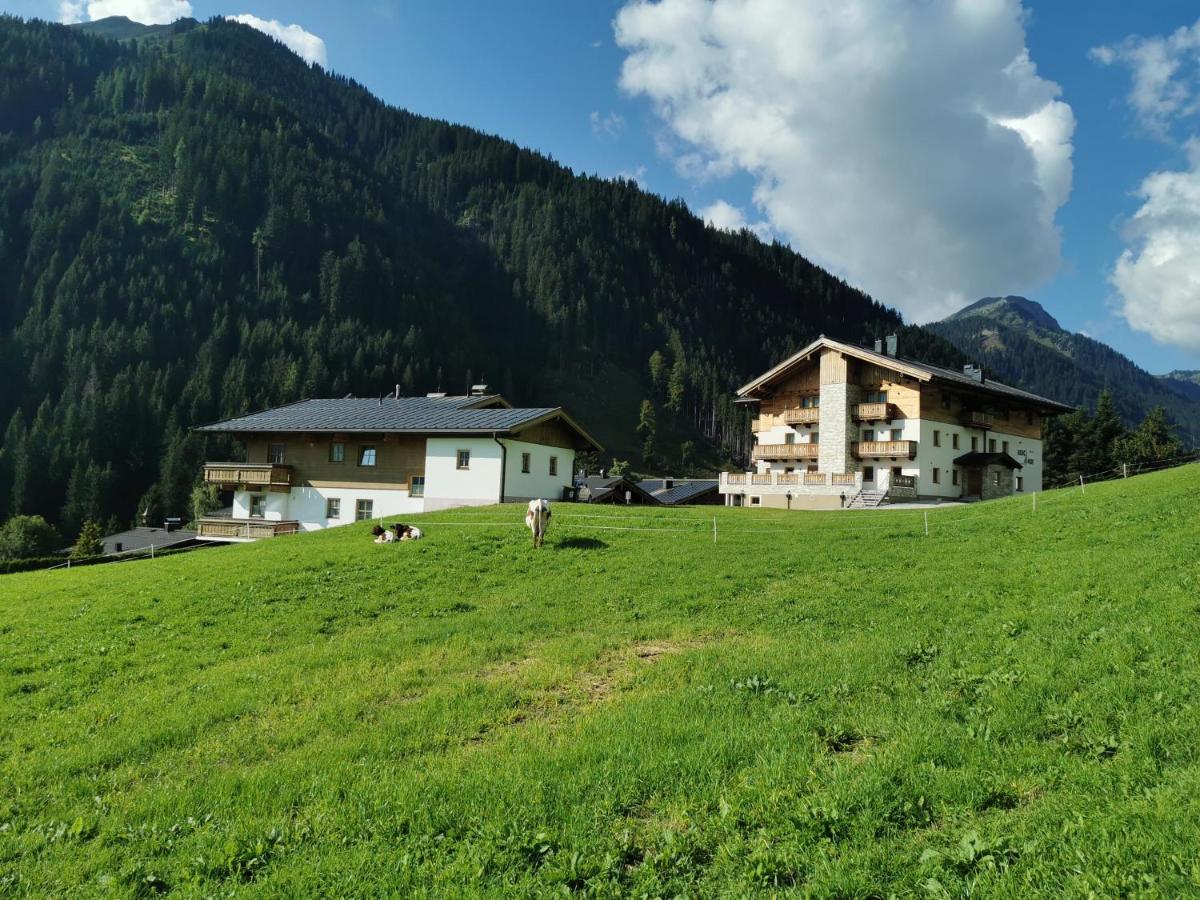 Appartement Berghof ザールバッハ・ヒンターグレム エクステリア 写真