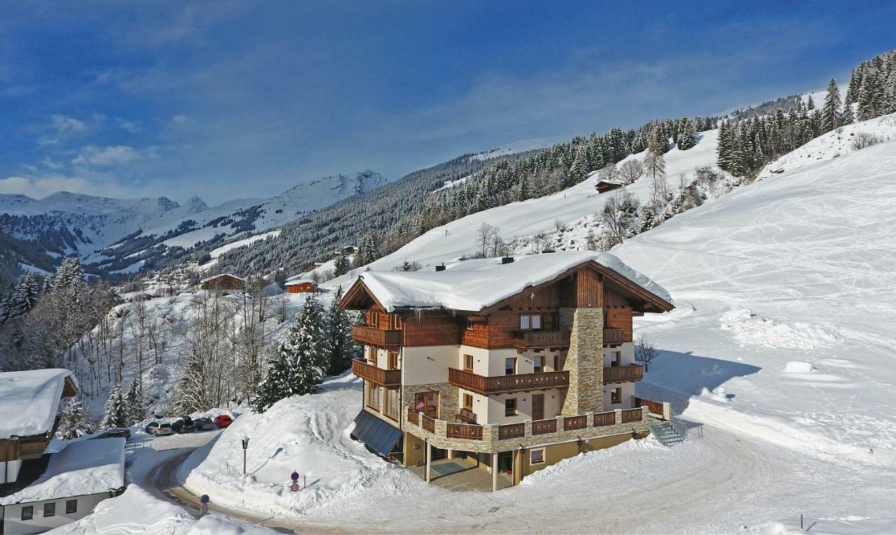 Appartement Berghof ザールバッハ・ヒンターグレム エクステリア 写真