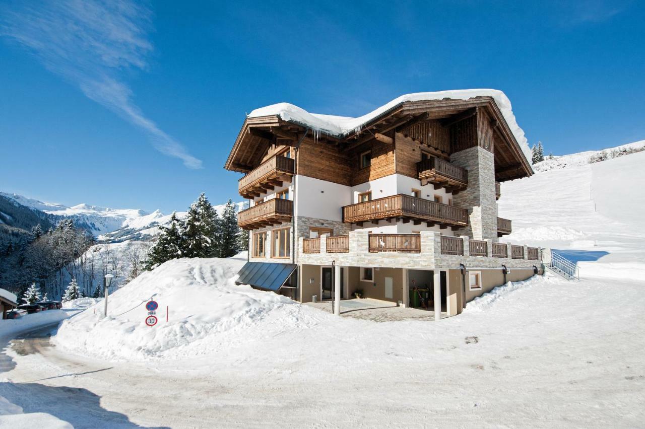 Appartement Berghof ザールバッハ・ヒンターグレム エクステリア 写真