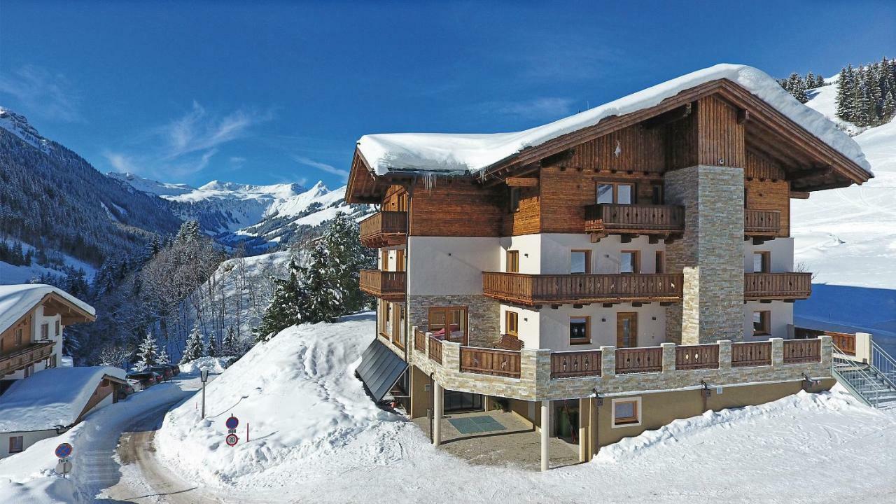 Appartement Berghof ザールバッハ・ヒンターグレム エクステリア 写真